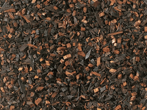 Rooibos e Honeybush